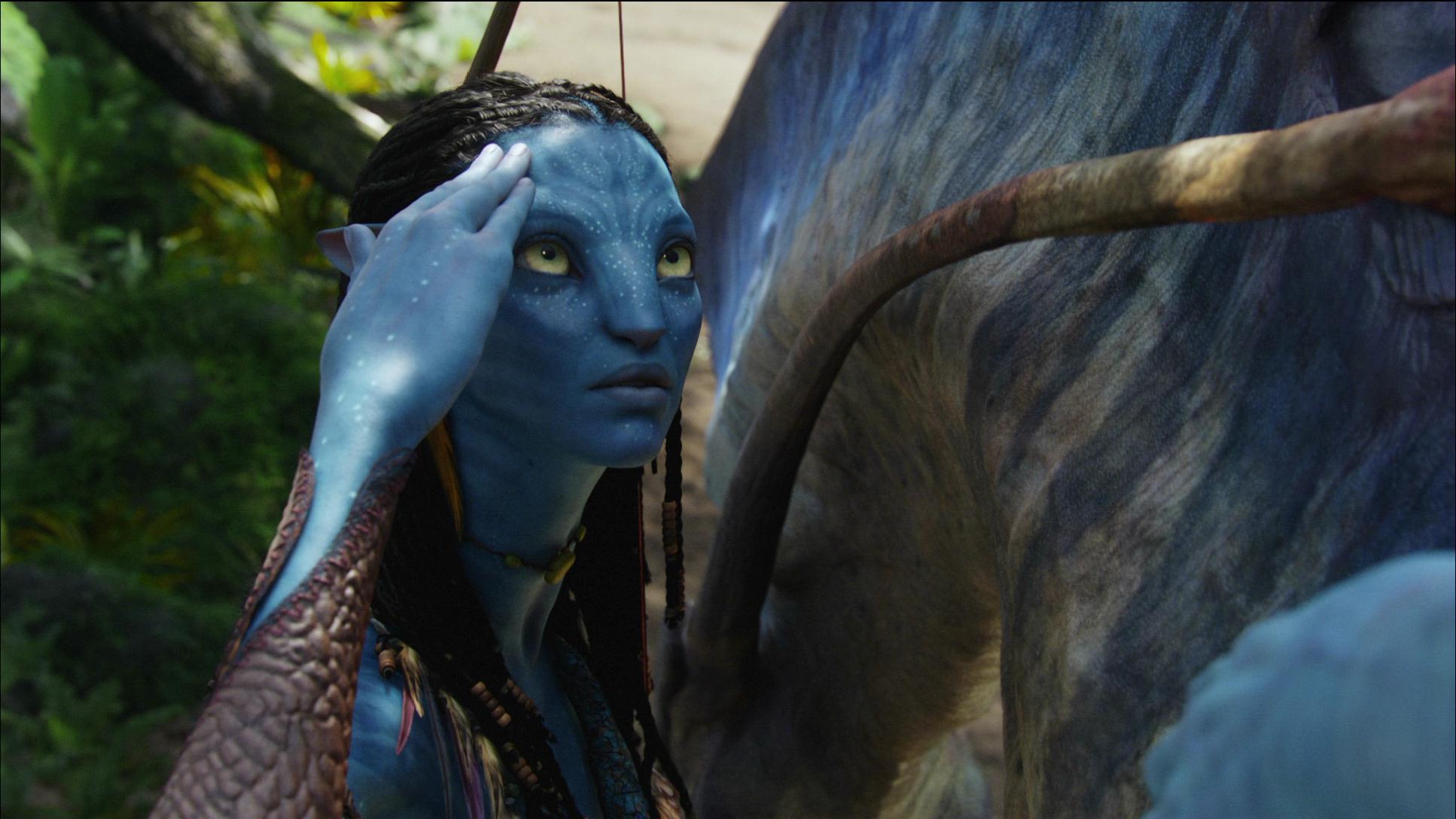 Photo from Avatar Film